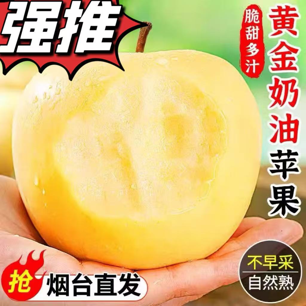 主图_01.jpg
