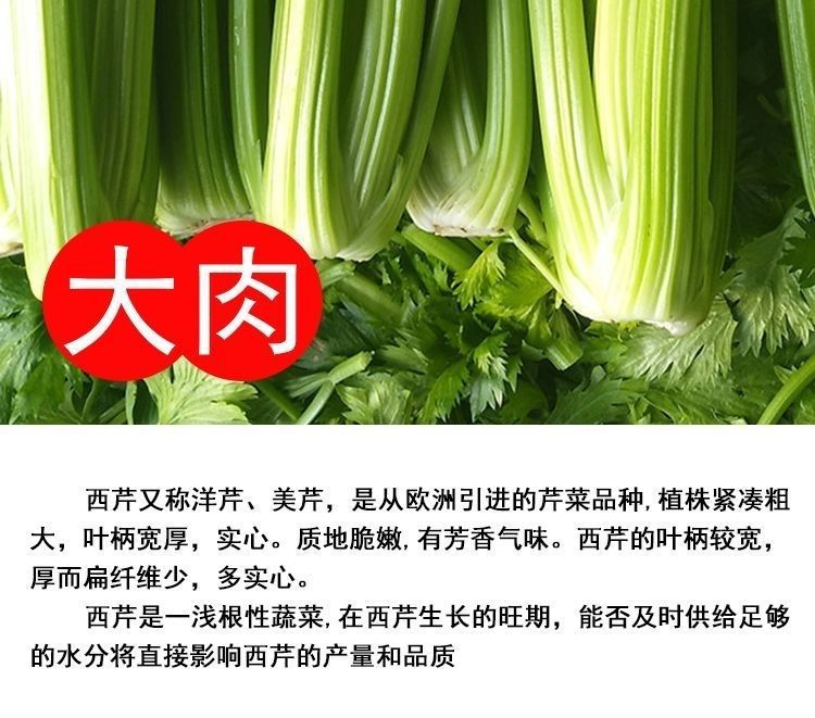 详情_04.jpg