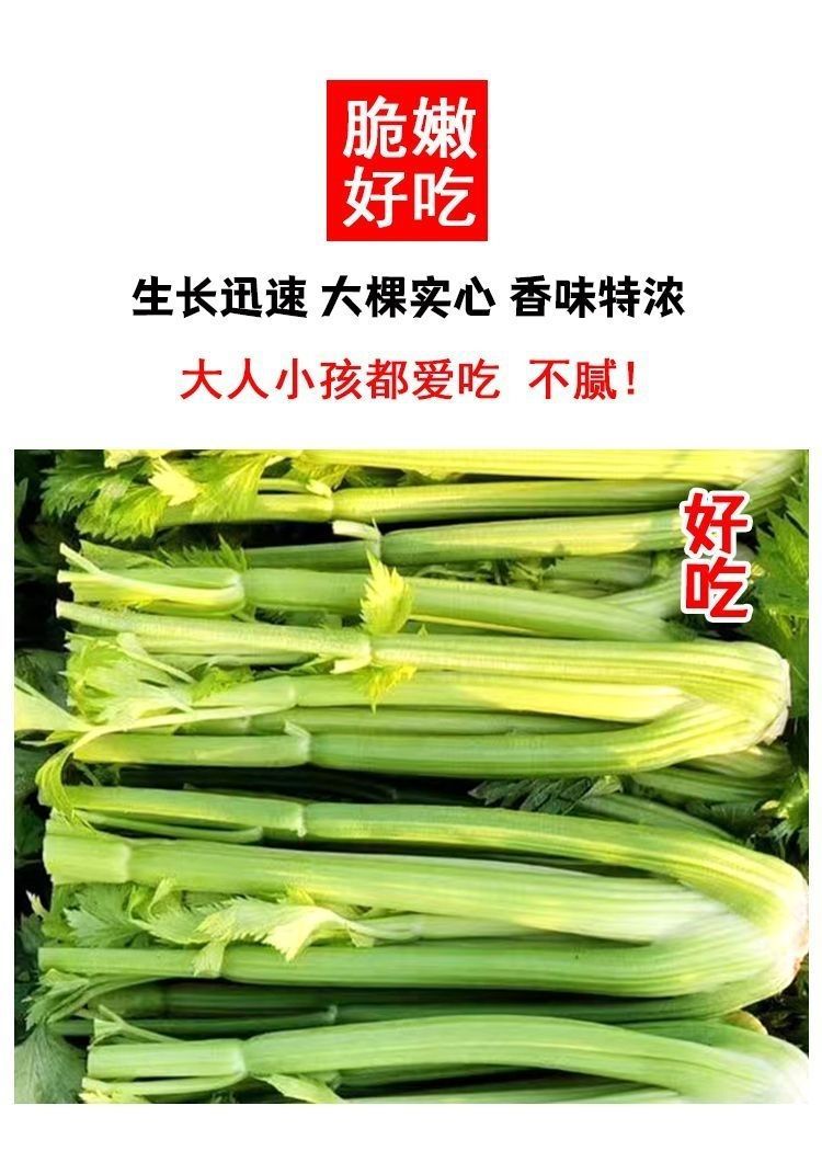 详情_08.jpg