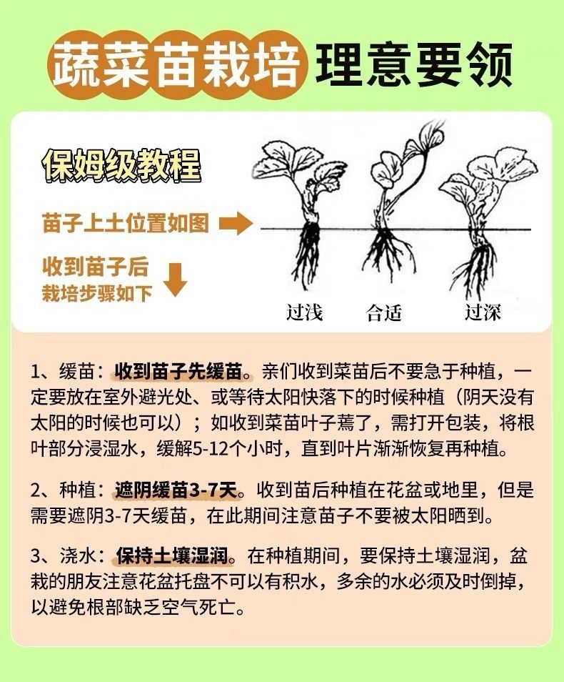 详情_02.jpg