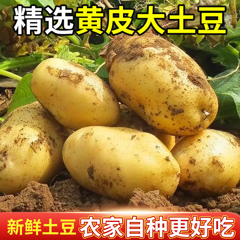 主图_02.jpg