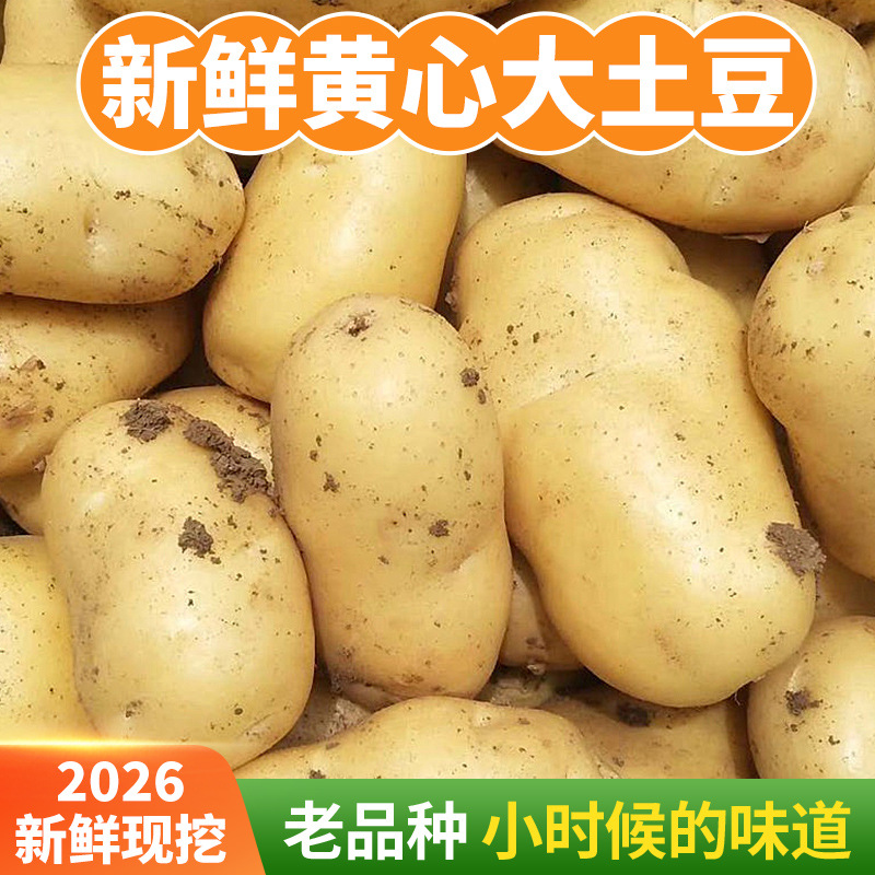 主图_03.jpg