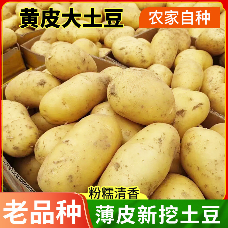 主图_01.jpg