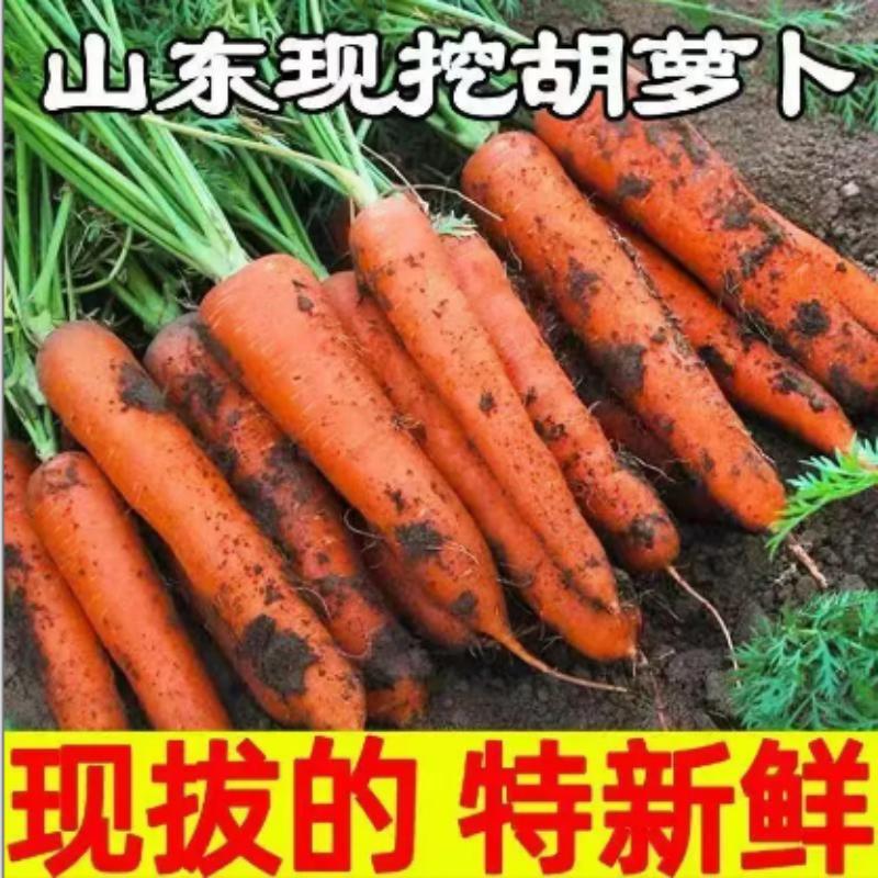 主图_01.jpg