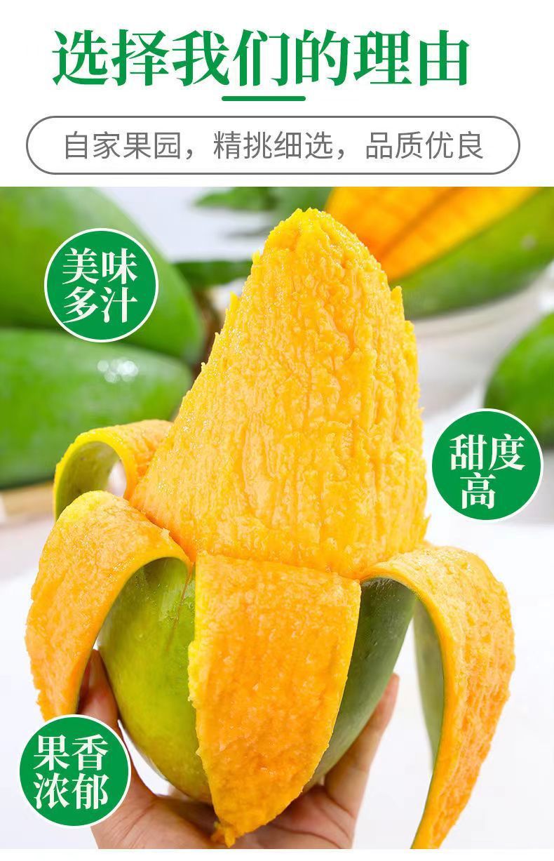 详情_06.jpg