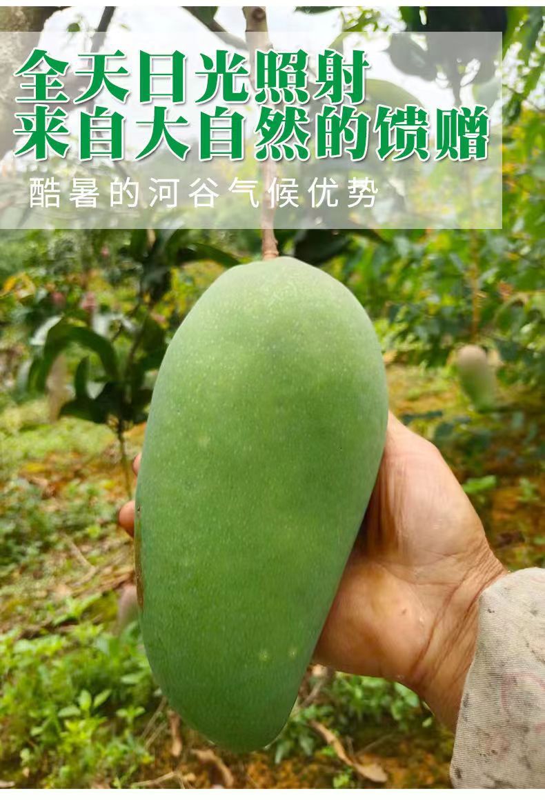 详情_07.jpg