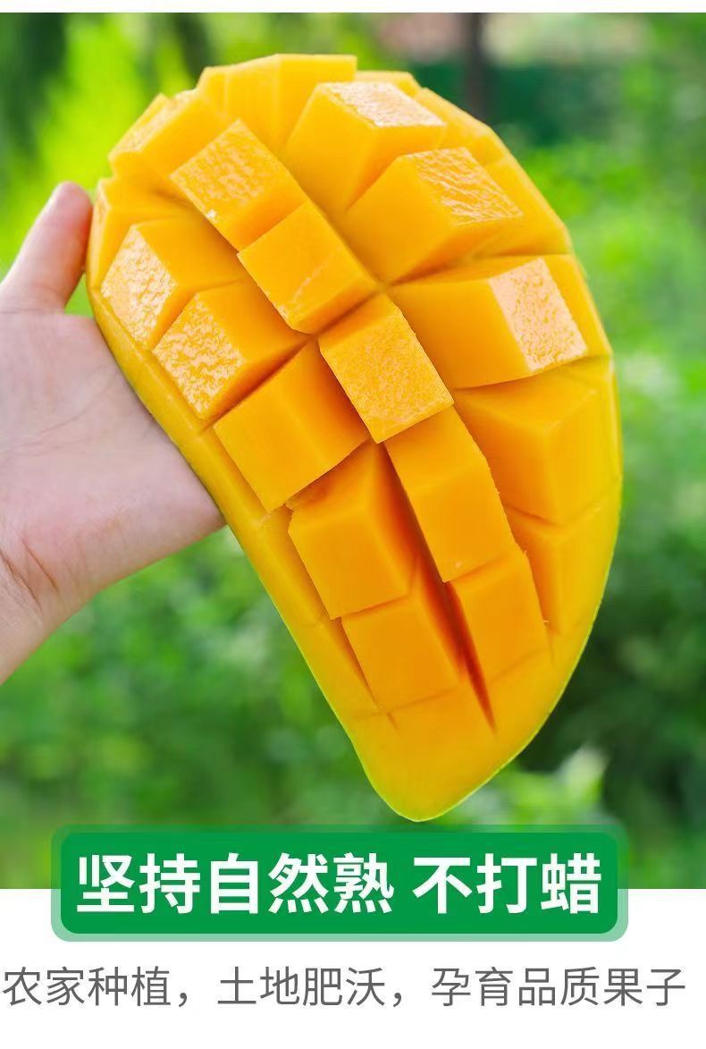 详情_12.jpg