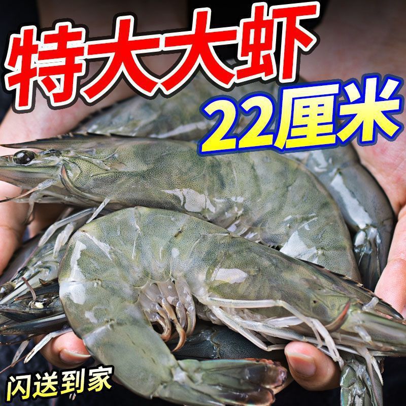 主图_01.jpg