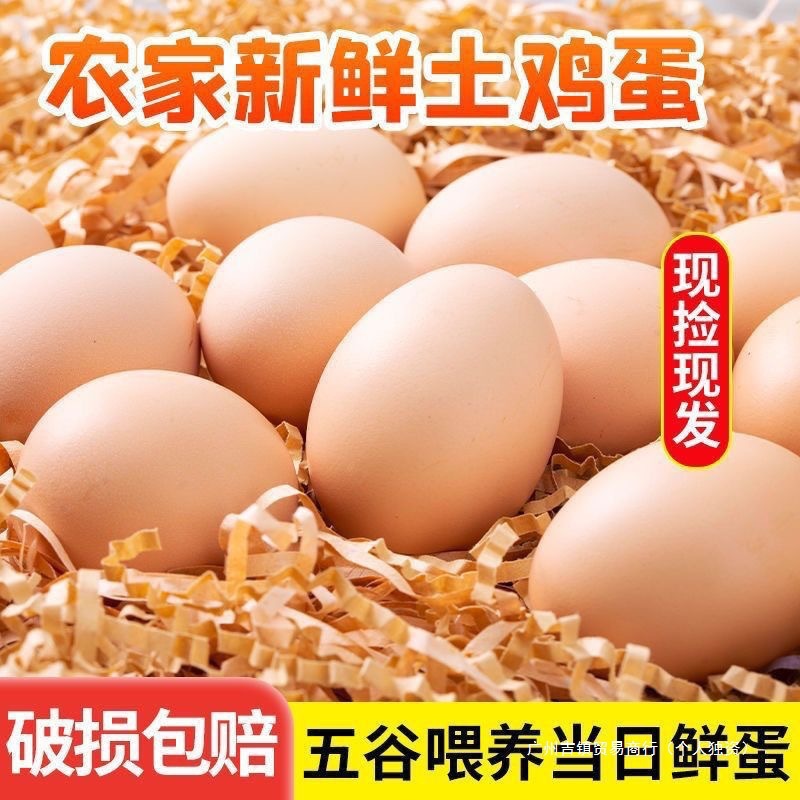 主图_02.jpg