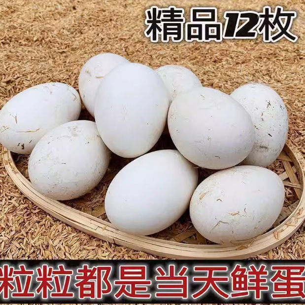 主图_04.jpg