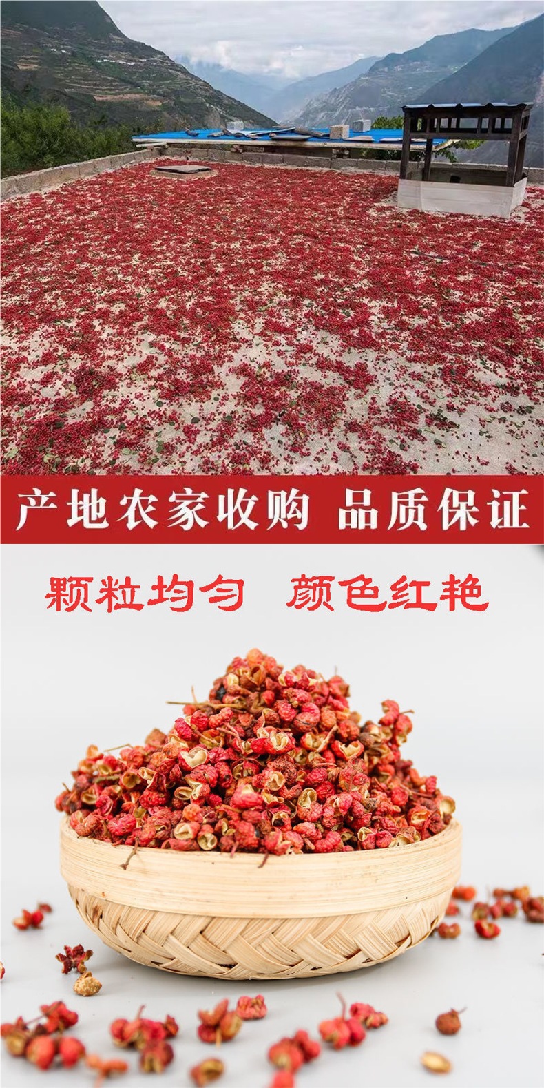 详情_02.jpg