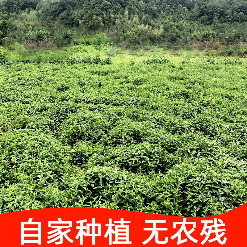 主图_03.jpg