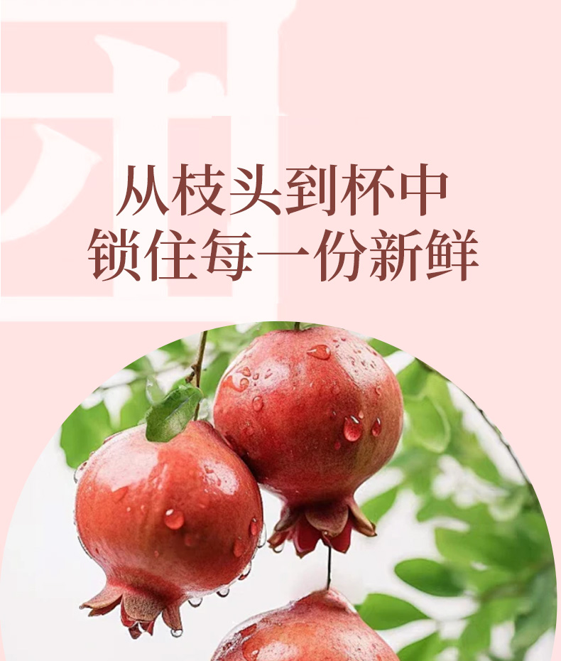 玫瑰石榴果酒_04.jpg