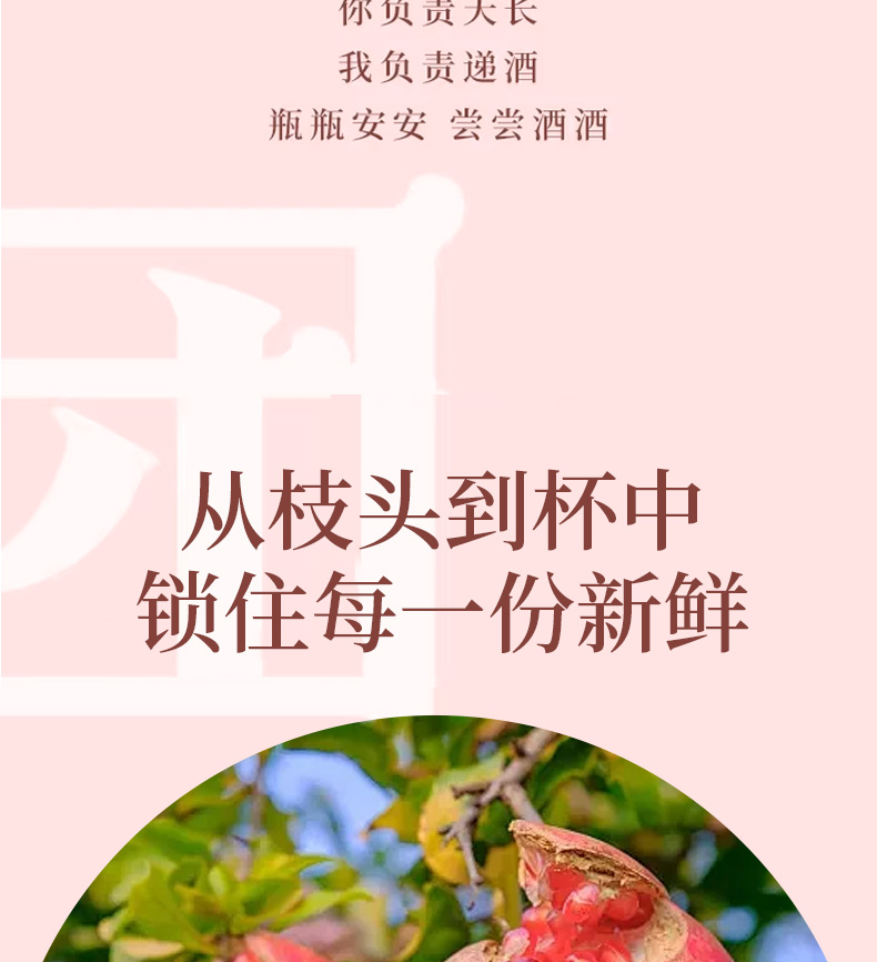 石榴酒_04.jpg