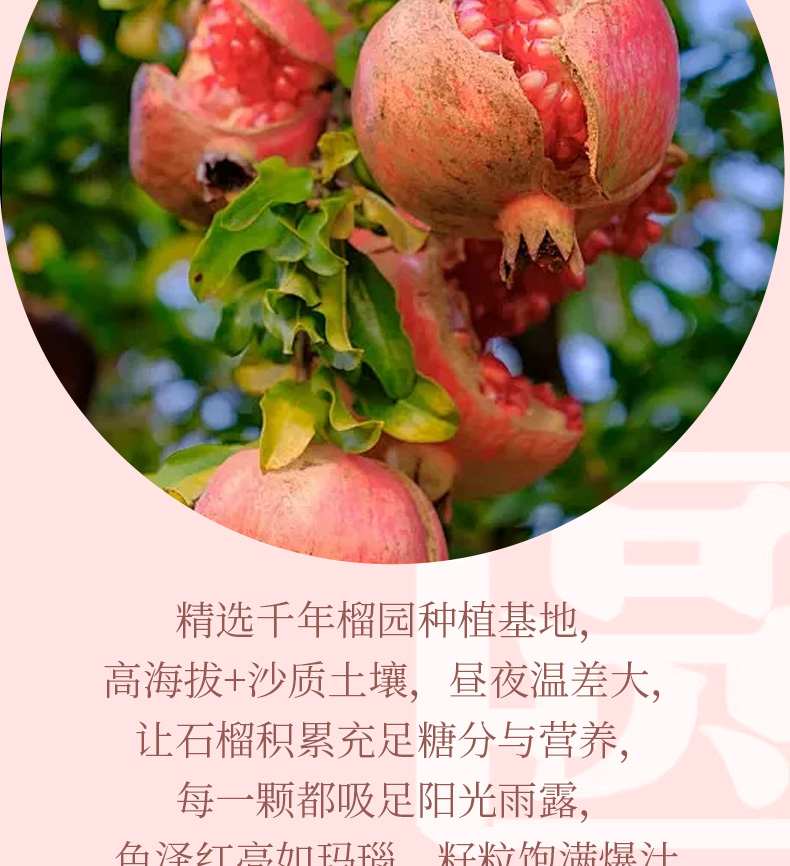 石榴酒_05.jpg
